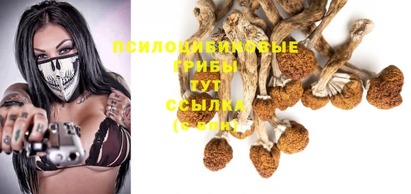 МДМА Алексеевка