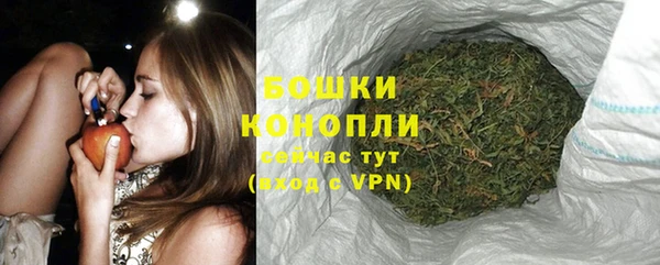 прущие грибы Покачи