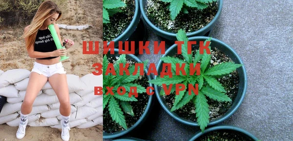 молекула духа Покров
